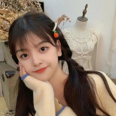 越狱特别篇：最后一越